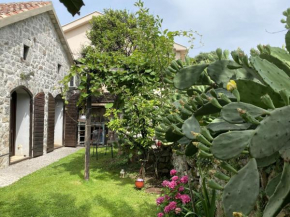 Old Stone House Radovići